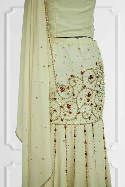 Brand New Cream Lehenga